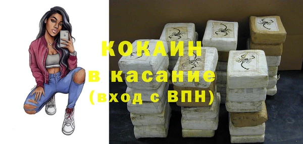 прущие грибы Бронницы