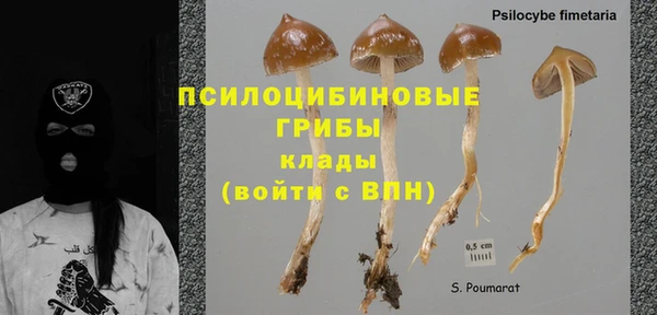 дживик Бугульма