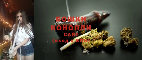 прущие грибы Бронницы