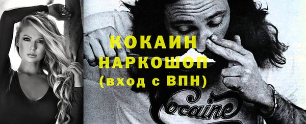 прущие грибы Богданович