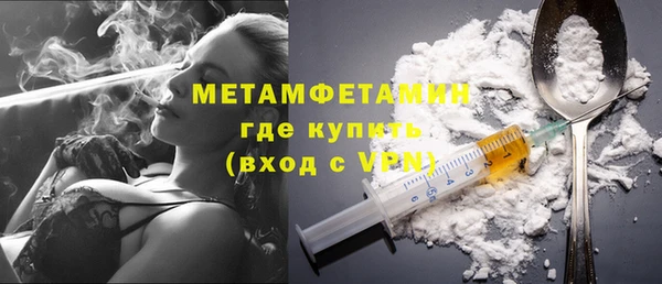 прущие грибы Бронницы