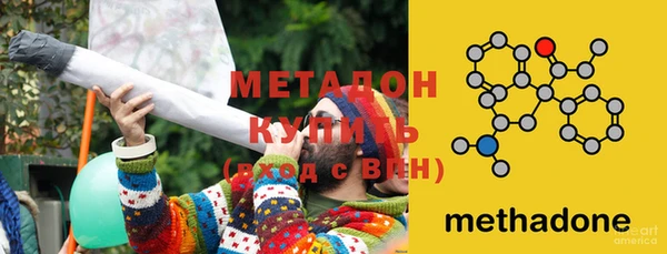прущие грибы Богданович
