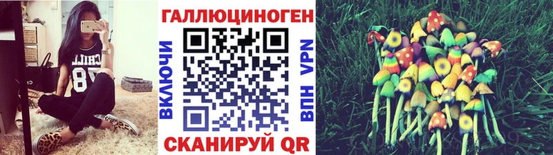 Галлюциногенные грибы Psilocybine cubensis  Волосово 